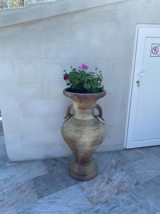 Residence Pasturella Bastia  Exterior foto